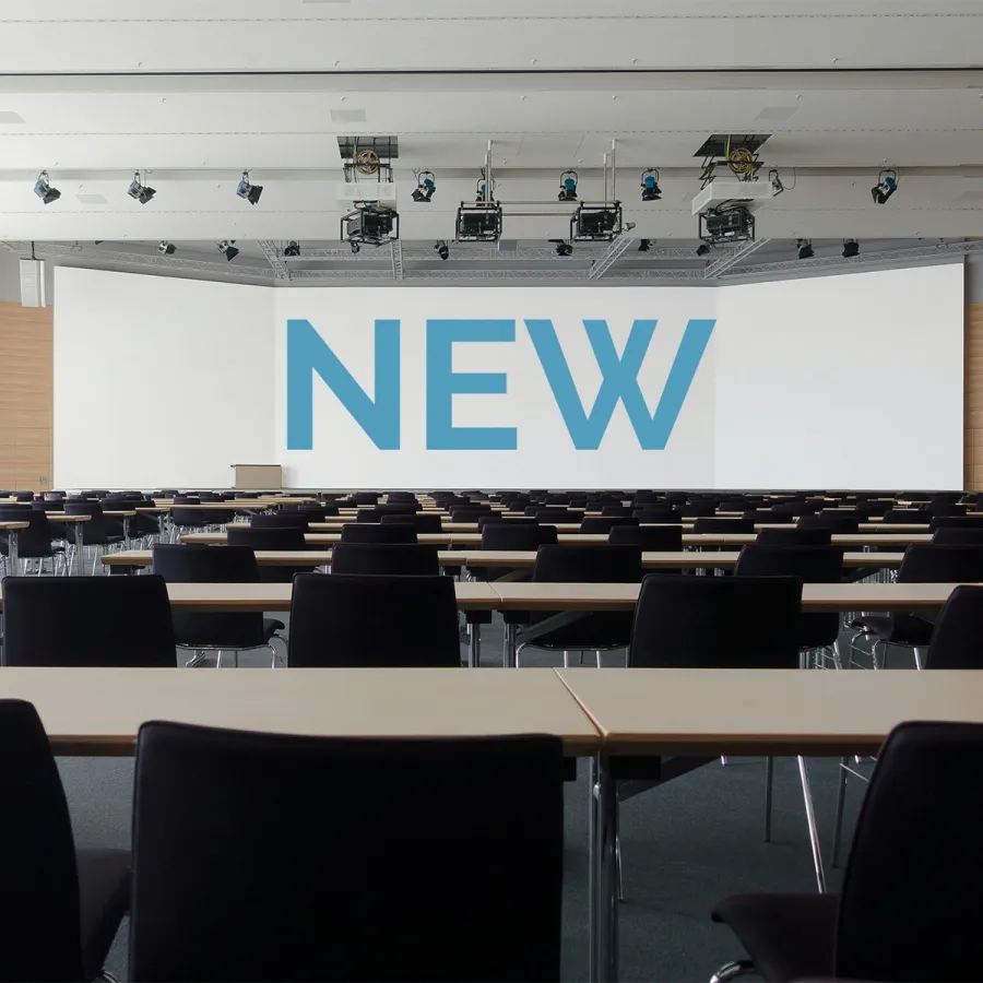 Disegno di Legge Bernini Giugno 2025 Revisione Modalità